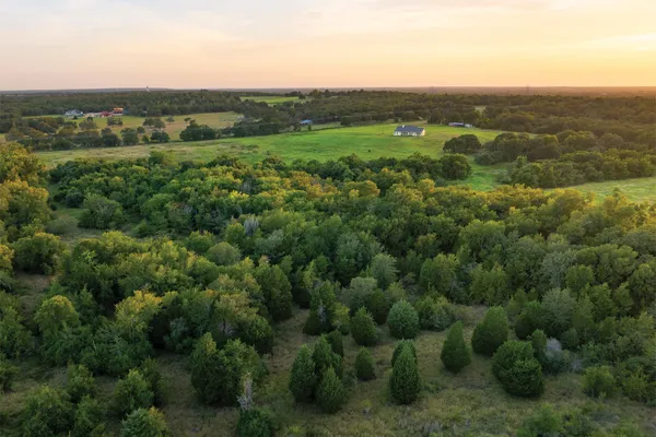 a view of a green field with lots of trees