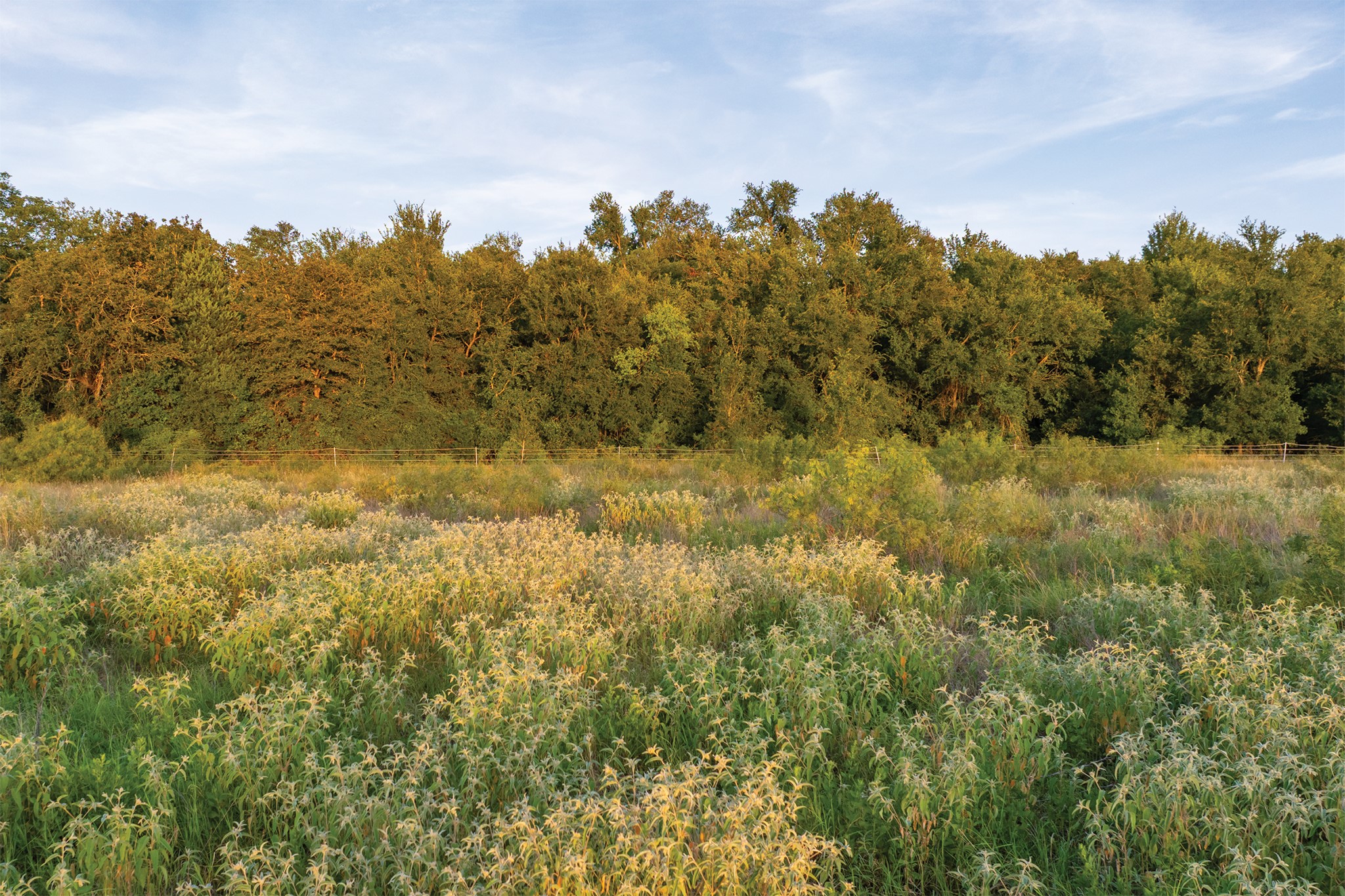 498 North County Line Road Elgin, TX 78621 - Photo 19 of 40 View of woods featuring a rural view
