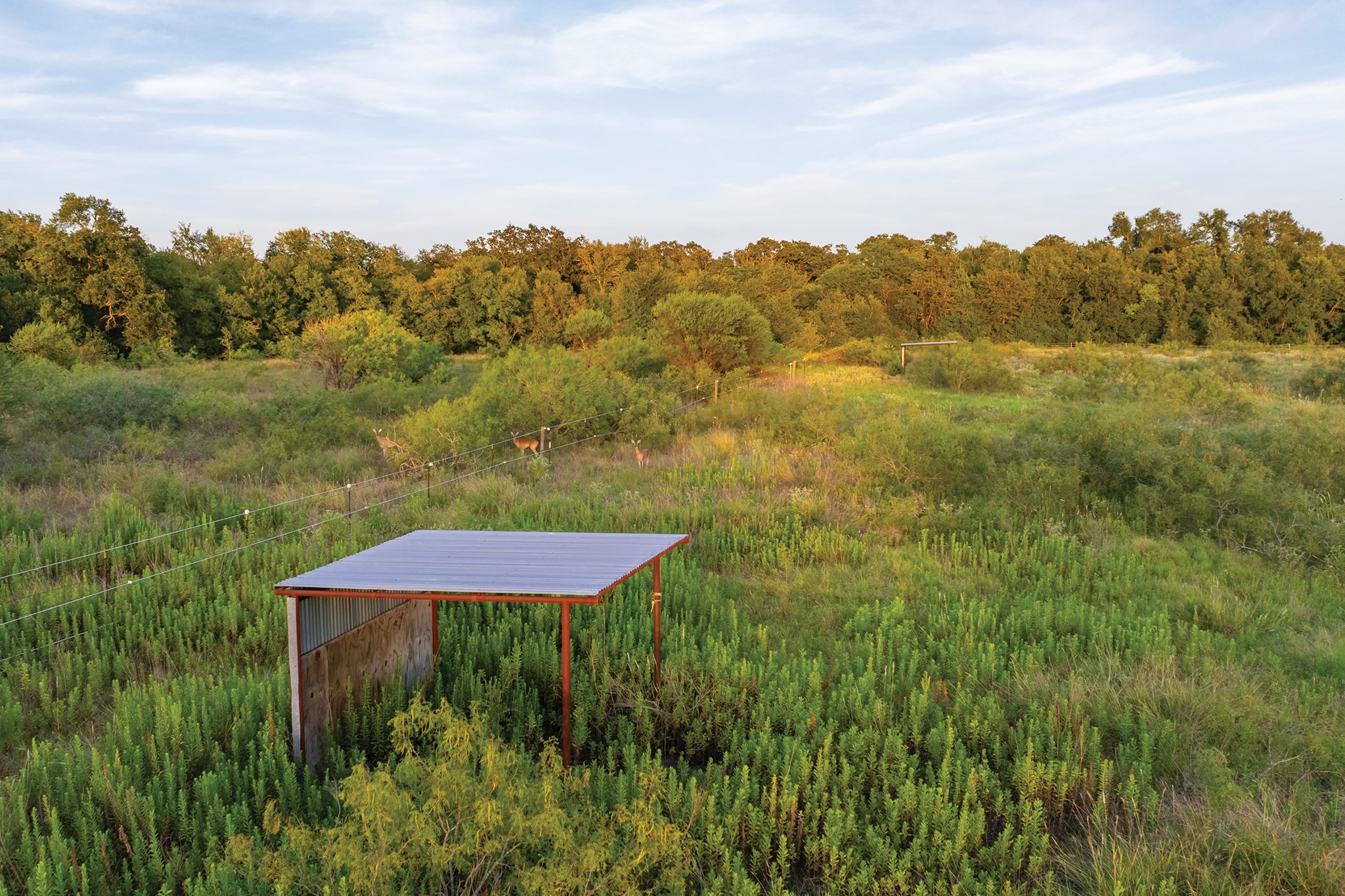 498 North County Line Road Elgin, TX 78621 - Photo 20 of 40 View of yard featuring a view of trees