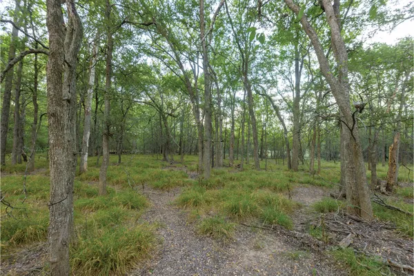a big yard with lots of green space and deers