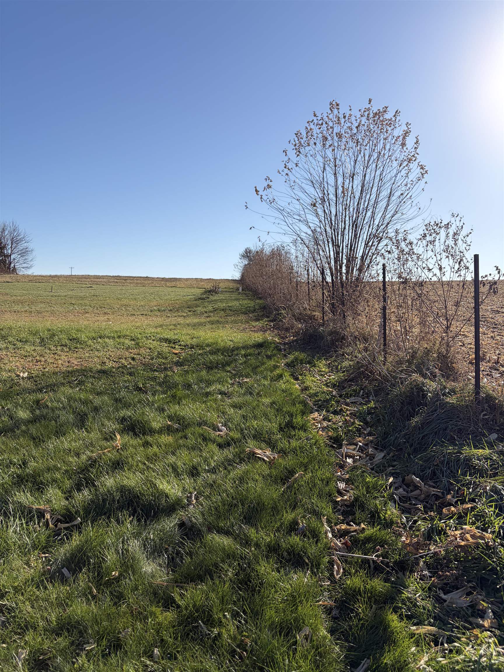 6783 Lodi Springfield Road Dane, WI 53529 - Photo 42 of 43