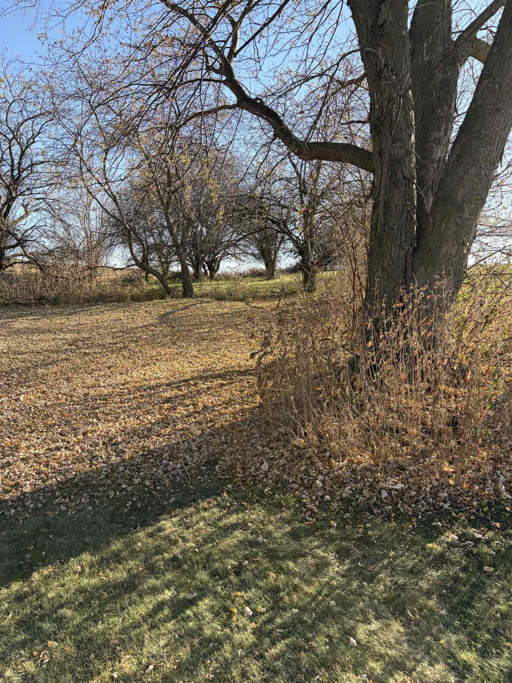 6783 Lodi Springfield Road Dane, WI 53529 - Photo 43 of 43