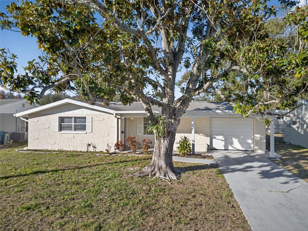 7547 Cumber Drive New Port Richey, FL 34653 - Photo 49 of 60