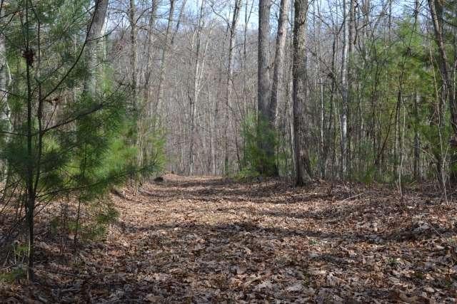204 Brush Road Lewisburg, WV 24901 - Photo 32 of 60 Gallery Image 32