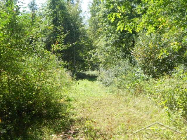 7606 South Fordney Road St. Charles, MI 48655 - Photo 38 of 41
