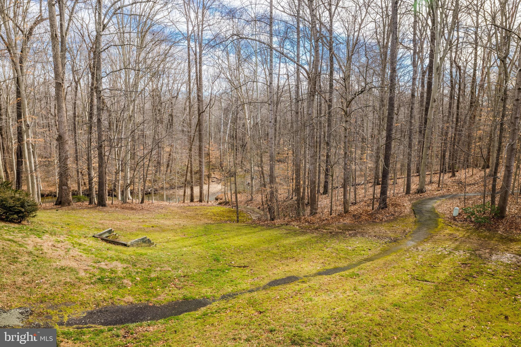 6241 Rathlin Drive Springfield, VA 22152 - Photo 39 of 45