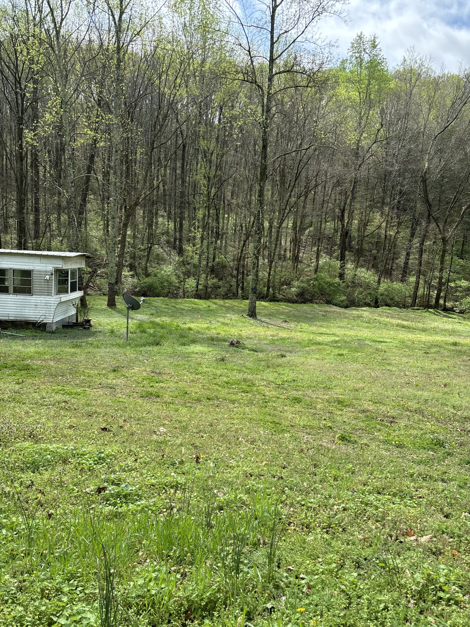 4870 Mccool Road Nashville, TN 37218 - Photo 6 of 8 Gallery Image 6