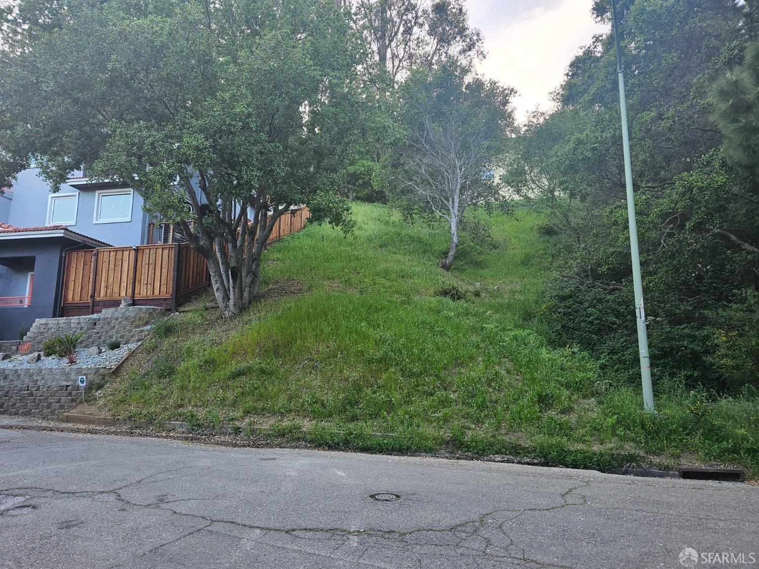 a view of a house with a tree in front of it