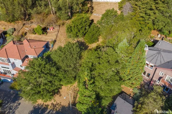 a view of a yard with plants and large trees