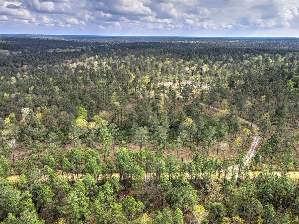 0 Deer Run Road, Unit E Williston, SC 29853 - Photo 11 of 15