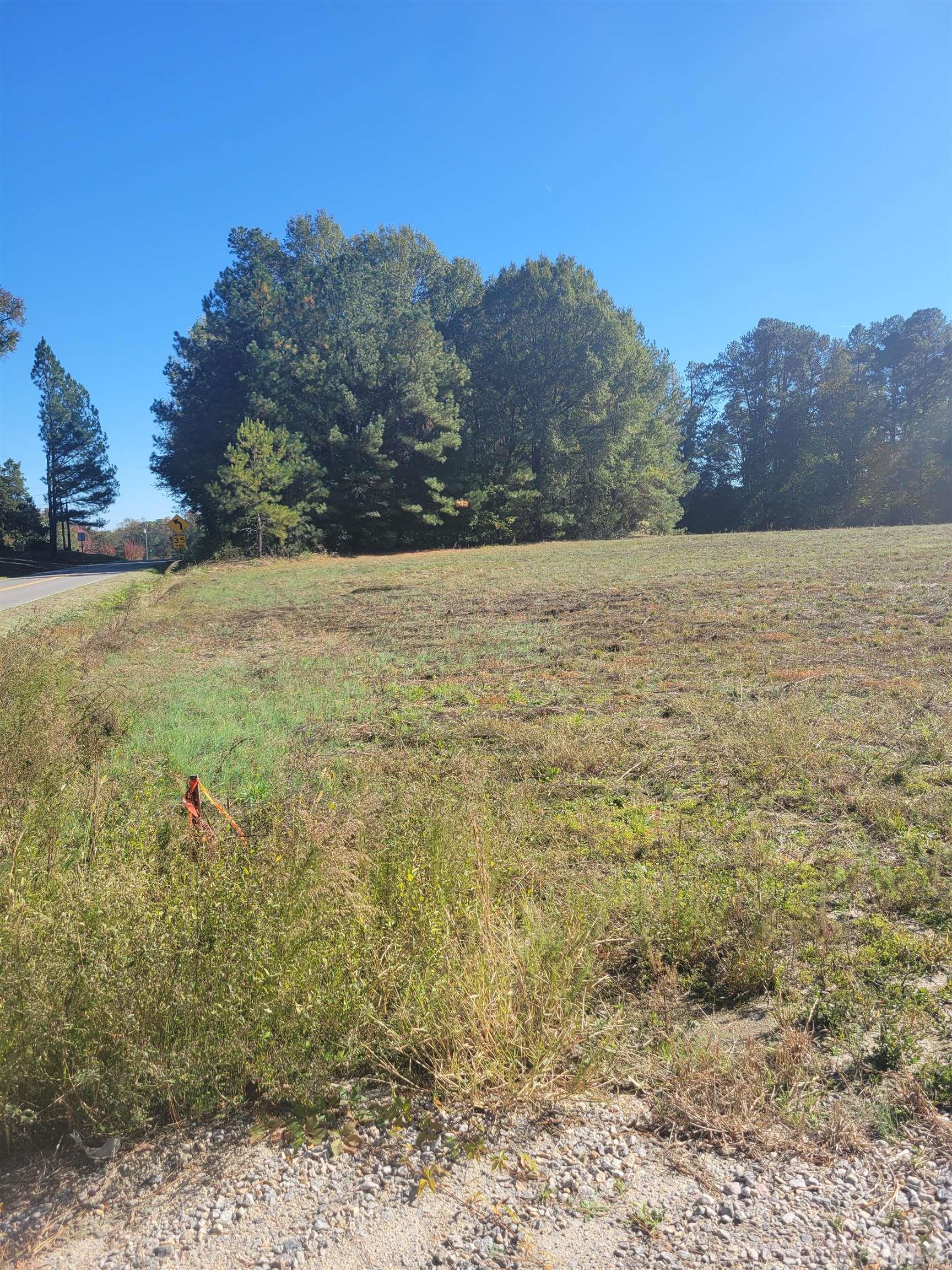 2 Riley Hill Road Zebulon, NC 27597 - Photo 1 of 5 a view of a yard