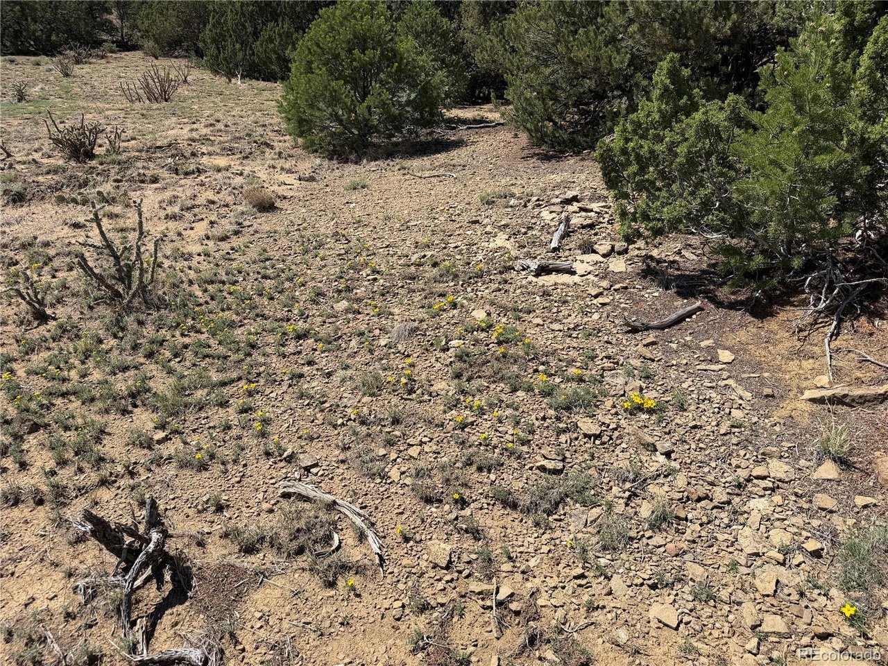 81 Twin Lakes Road Walsenburg, CO 81089 - Photo 11 of 26 Gallery Image 11