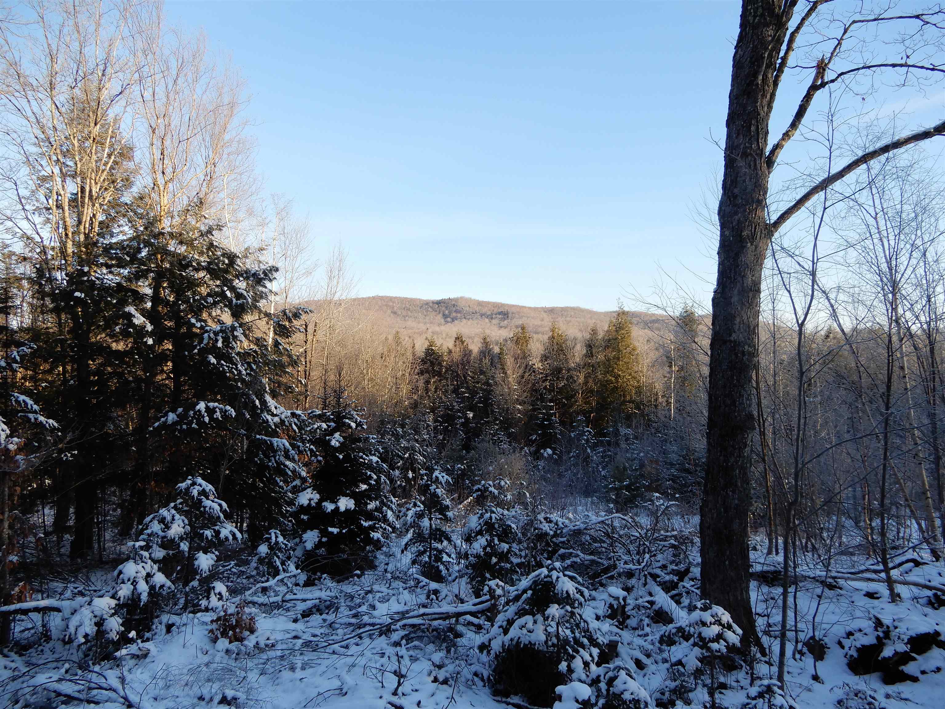 528 Atwell Hill Road Wentworth, NH 03282 - Photo 11 of 16 Gallery Image 11