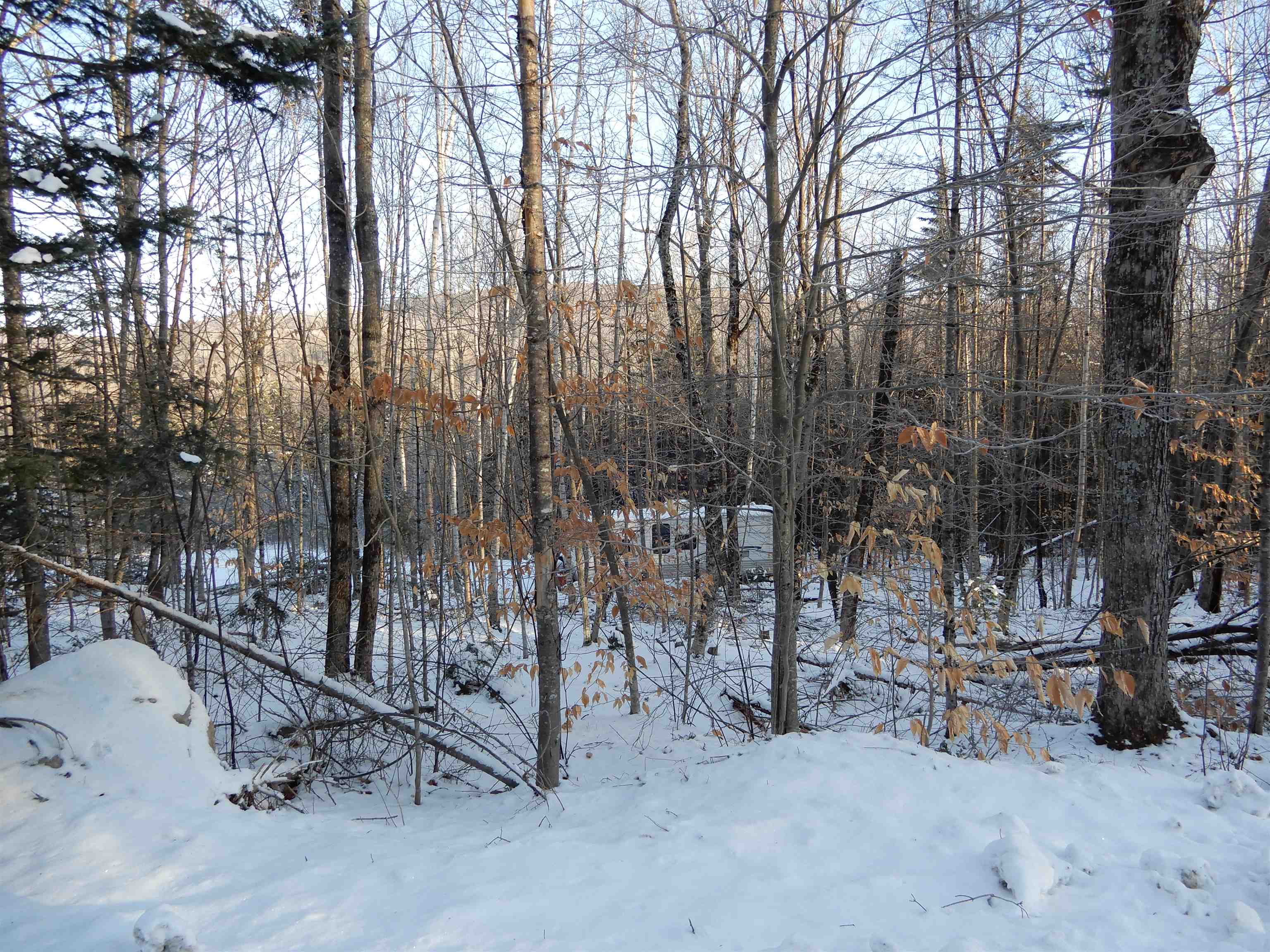528 Atwell Hill Road Wentworth, NH 03282 - Photo 15 of 16 Gallery Image 15