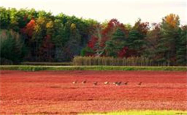 Lot 19-90 Forbes Road Milton, MA 02186 - Photo 8 of 9