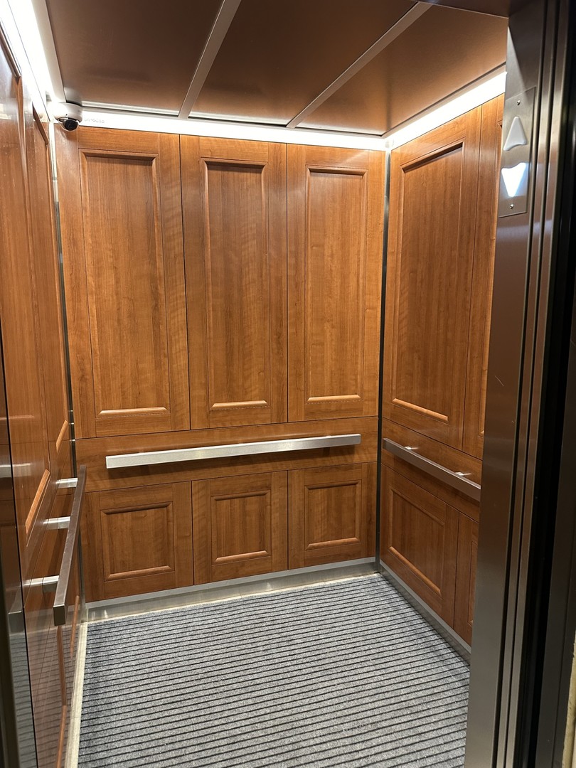 431 South Dearborn Street, Unit 507 Chicago, IL 60605 - Photo 23 of 25 a view of walk in closet