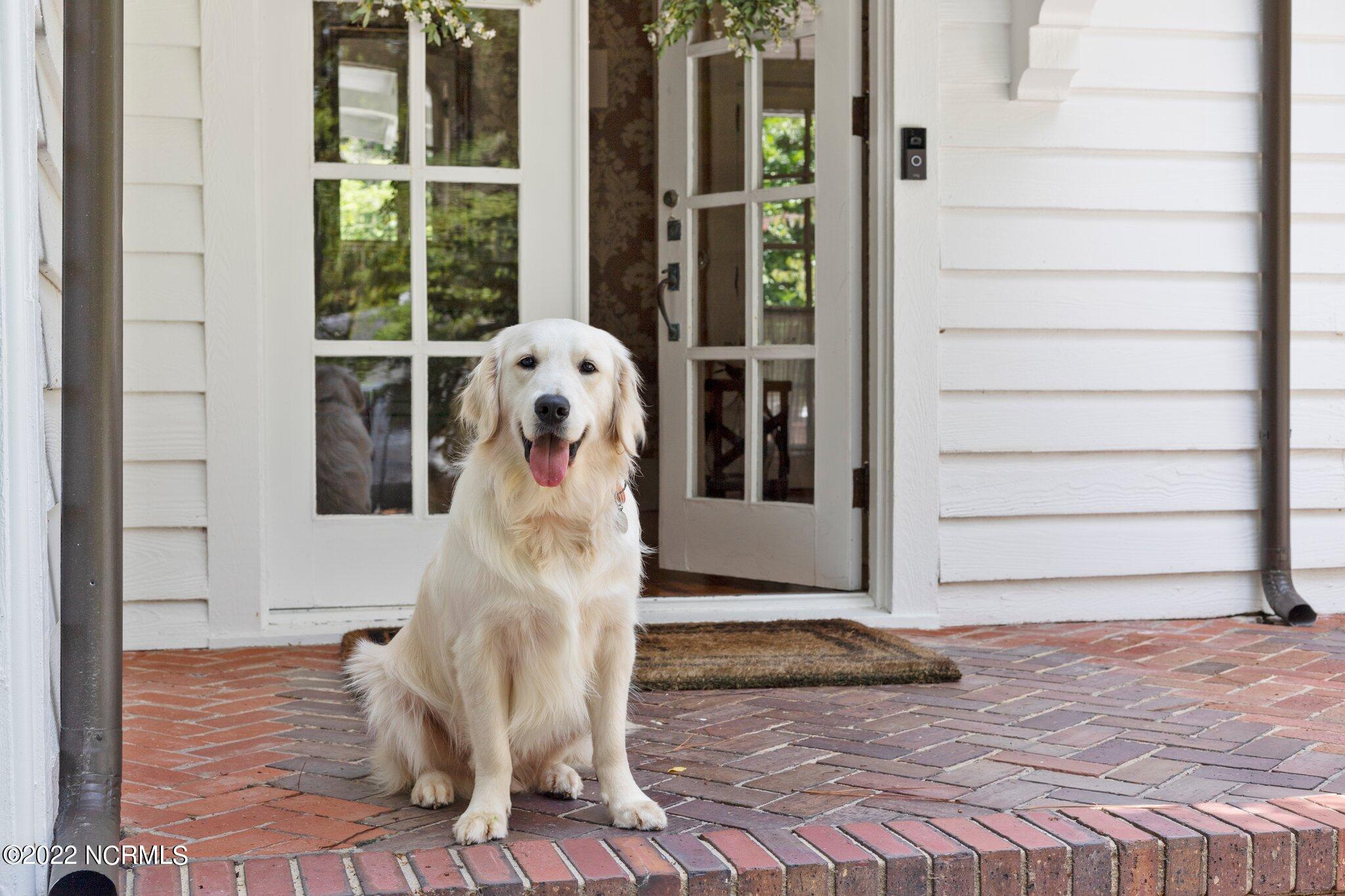 75 Linden Road Pinehurst, NC 28374 - Photo 58 of 61 92-web-or-mls-IMG_2767