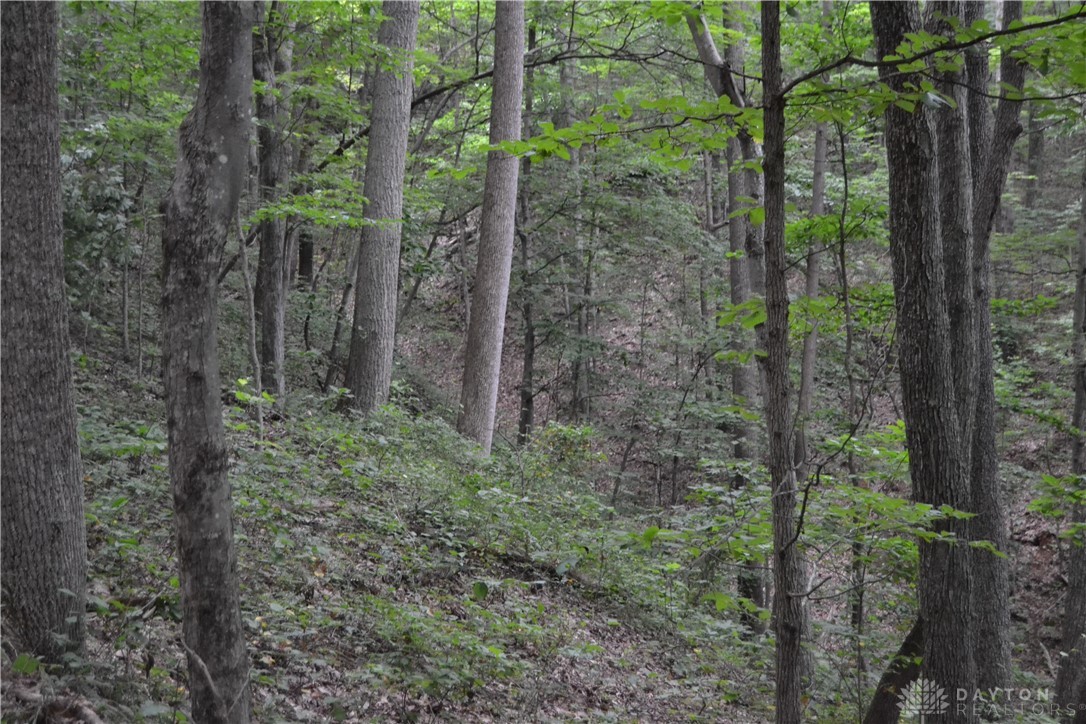 94-acres Naces Run Road Stout, OH 45684 - Photo 29 of 36 Gallery Image 29