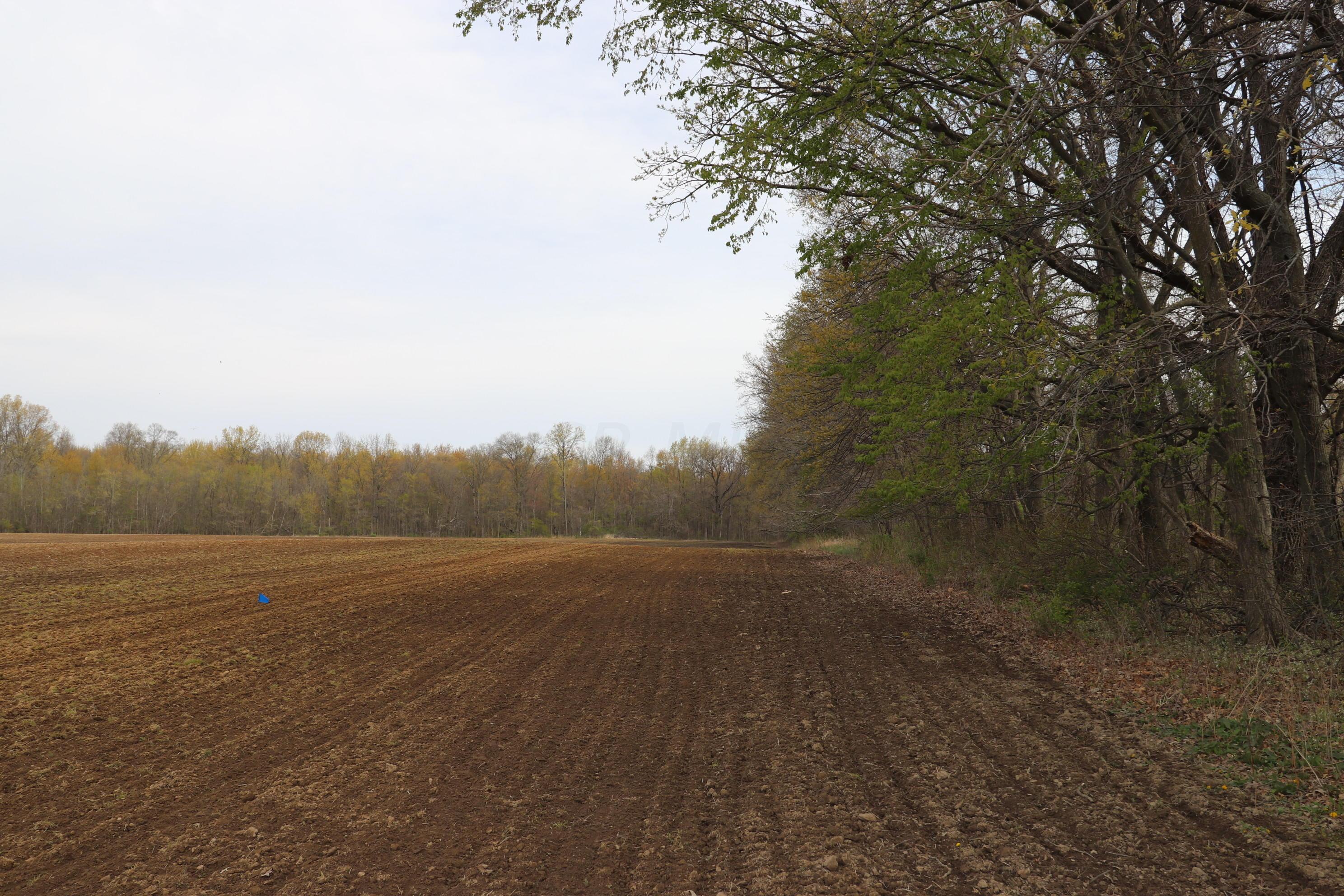 3 Kilbourne Road Sunbury, OH 43074 - Photo 3 of 9