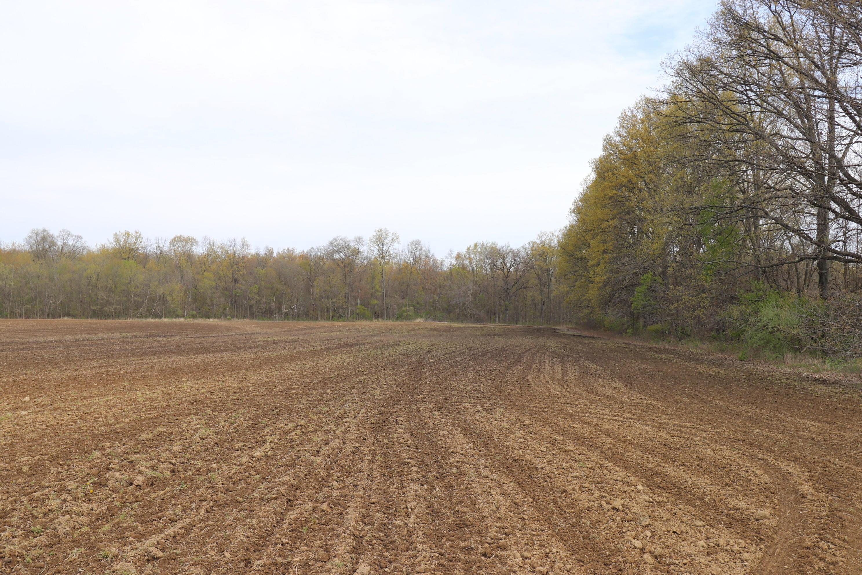3 Kilbourne Road Sunbury, OH 43074 - Photo 5 of 9