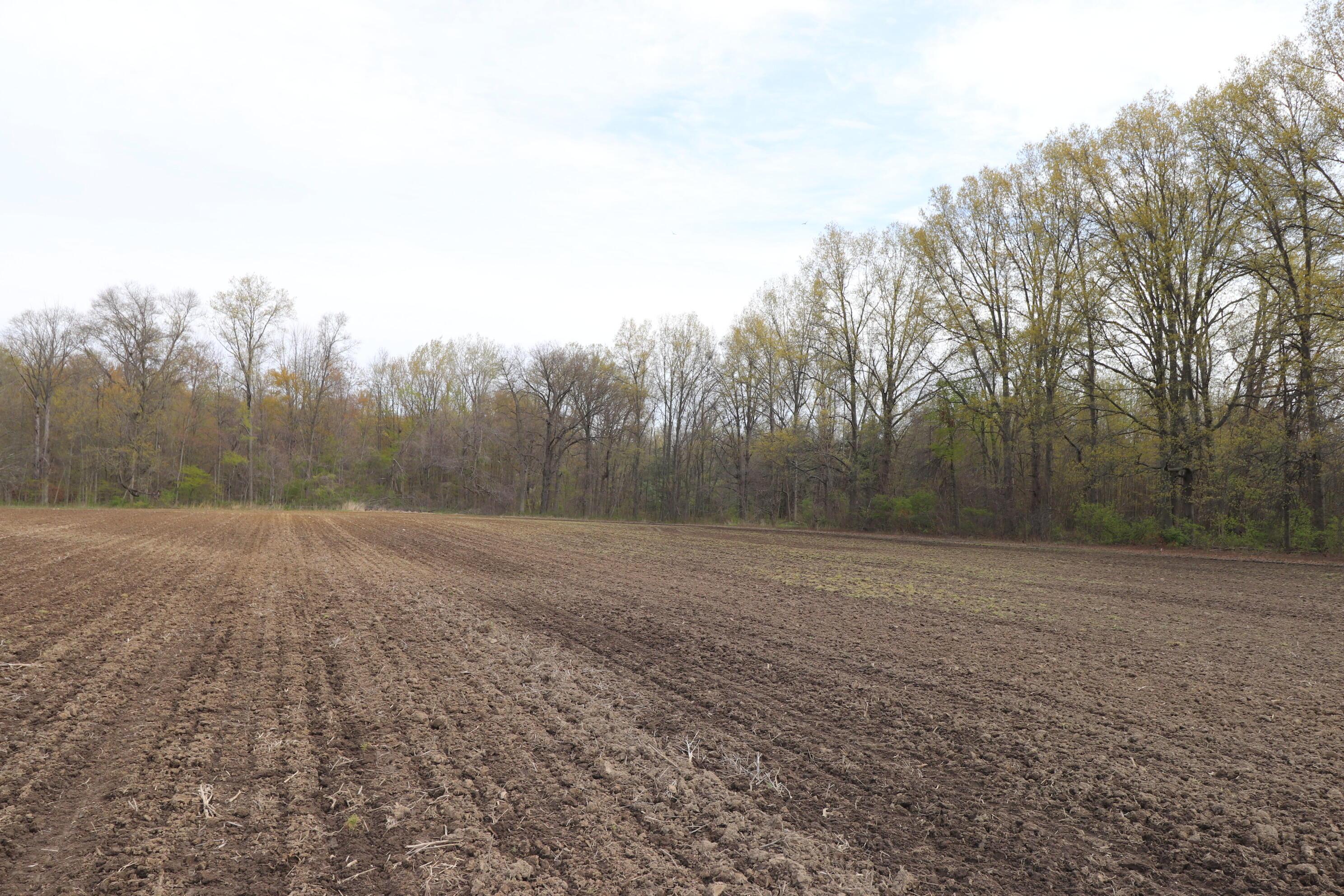 3 Kilbourne Road Sunbury, OH 43074 - Photo 6 of 9
