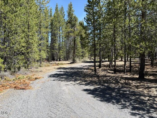 123415 Surveyor Road Crescent Lake, OR 97733 - Photo 50 of 53