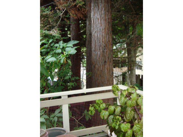 113 Bennett Road Aptos, CA 95003 - Photo 10 of 12 Gallery Image 10