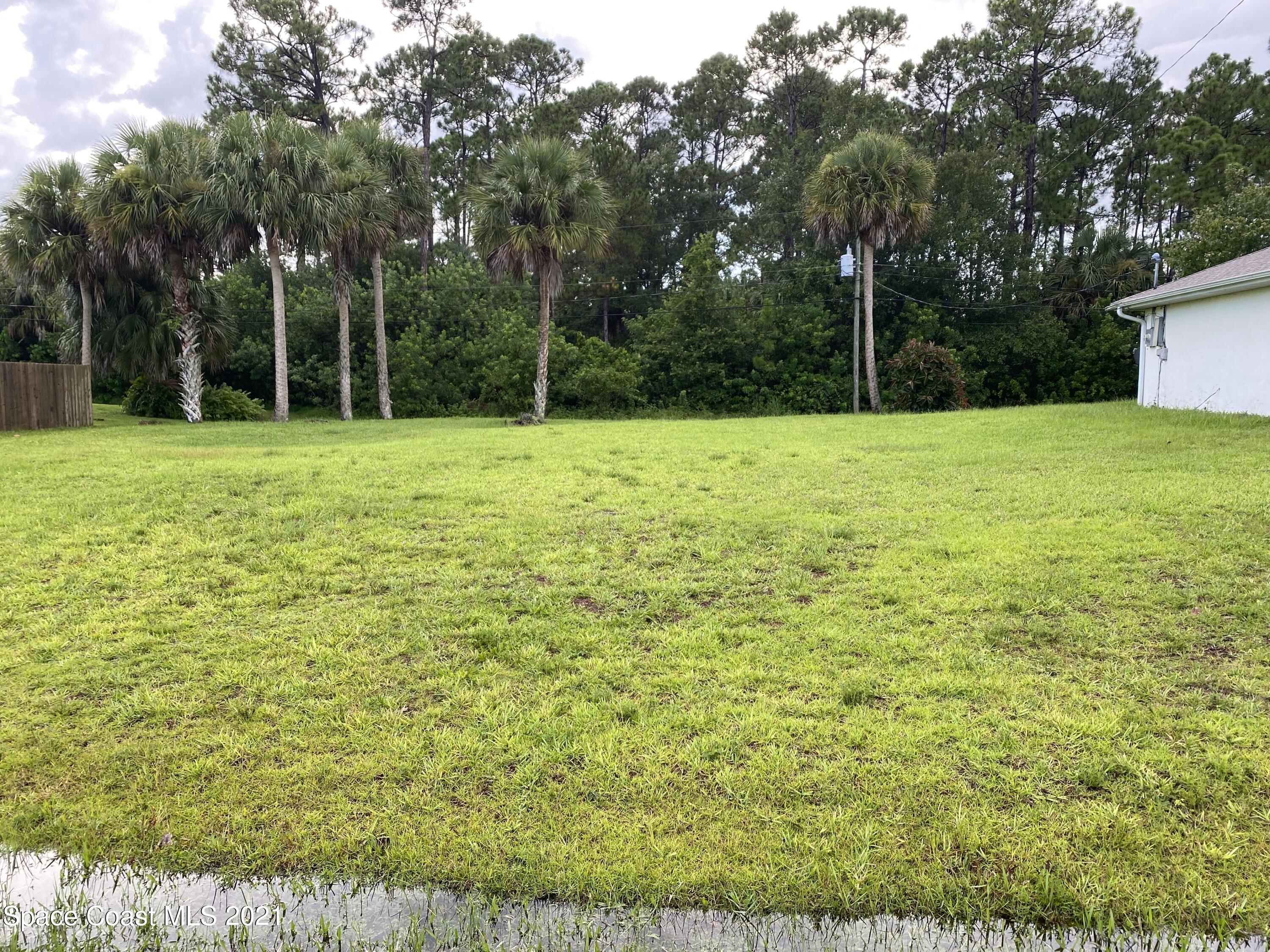 0 Ran Road Southeast Palm Bay, FL 32909 - Photo 1 of 6 a view of a yard with an trees