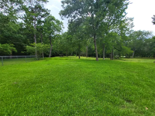a view of a grassy field with trees
