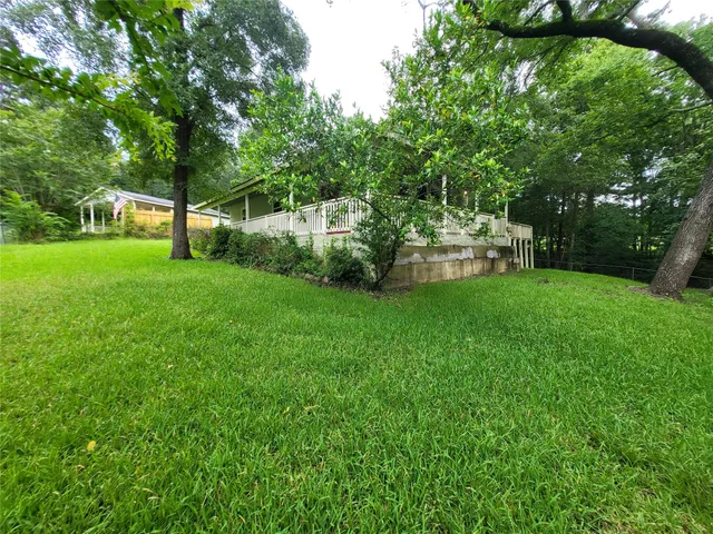 a view of a garden with trees