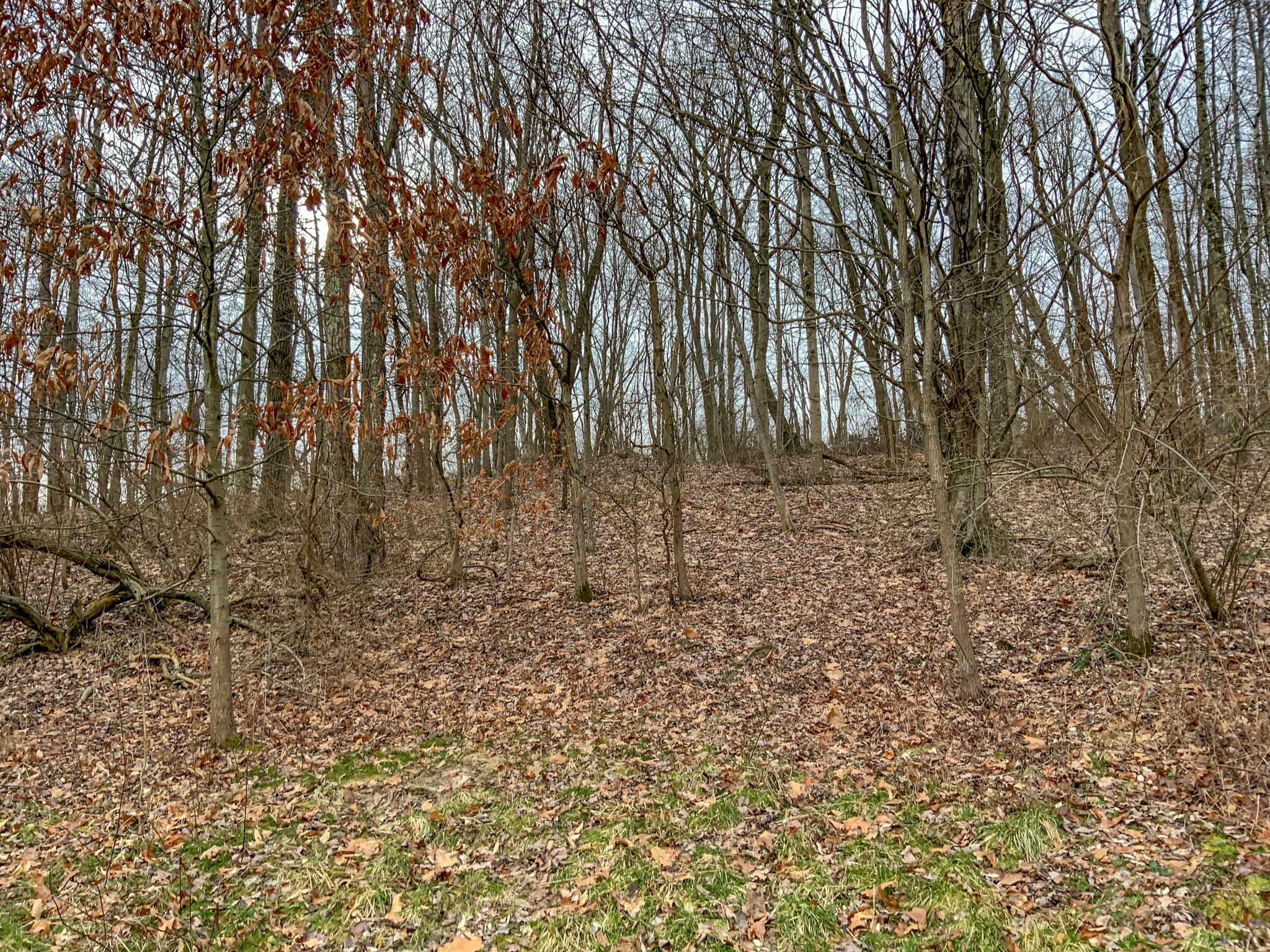 0 Cream Ridge Road Lisbon, OH 44432 - Photo 6 of 49 IMG_4788