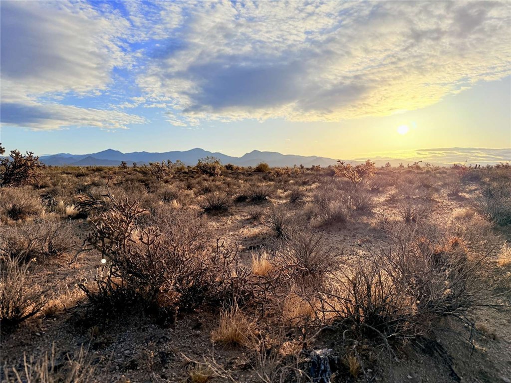 0 South Alamo Road Yucca, AZ 86438 - Photo 19 of 21