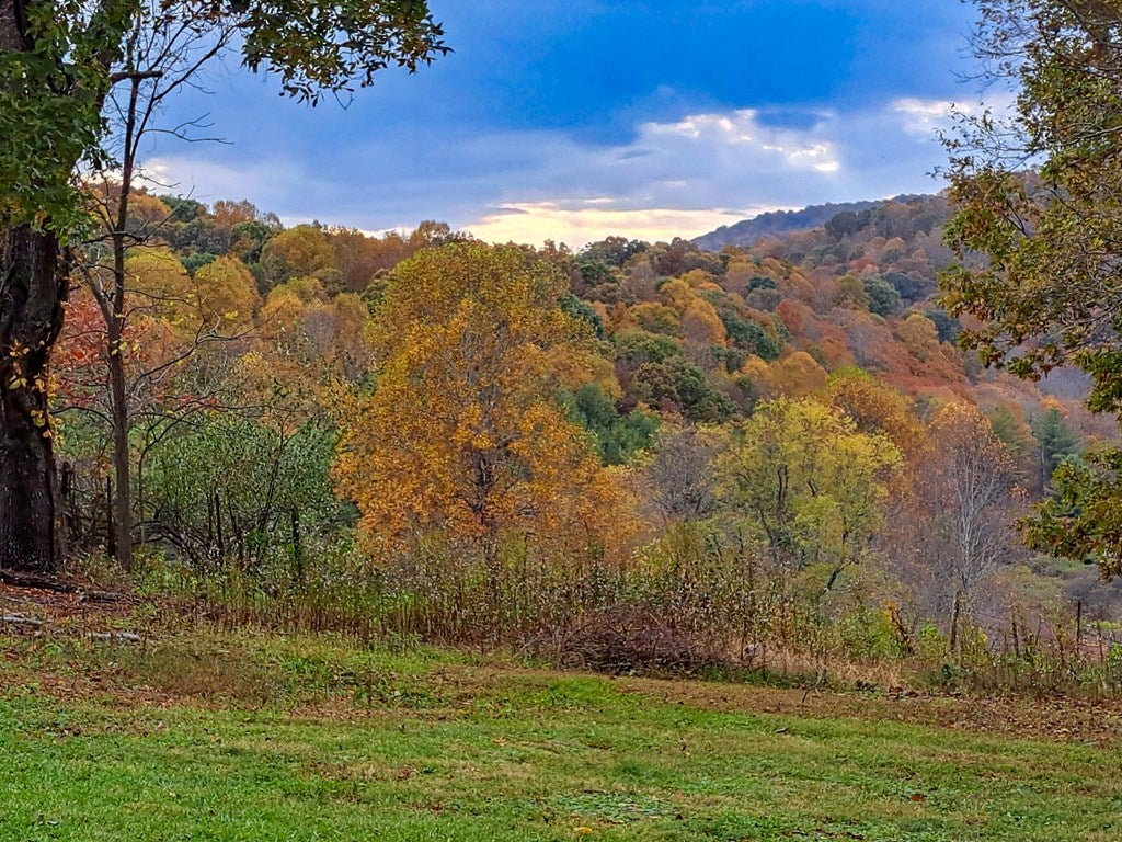 26-acres Tobler Road Rural Retreat, VA 24368 - Photo 14 of 60 Gallery Image 14