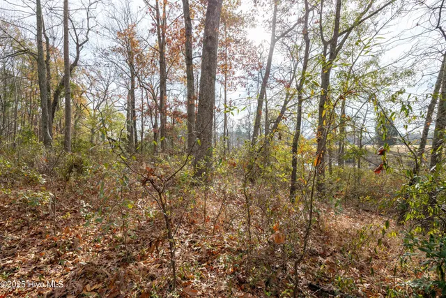 $62,500 | 136 Bridgewater S Drive, Bath, NC 27808