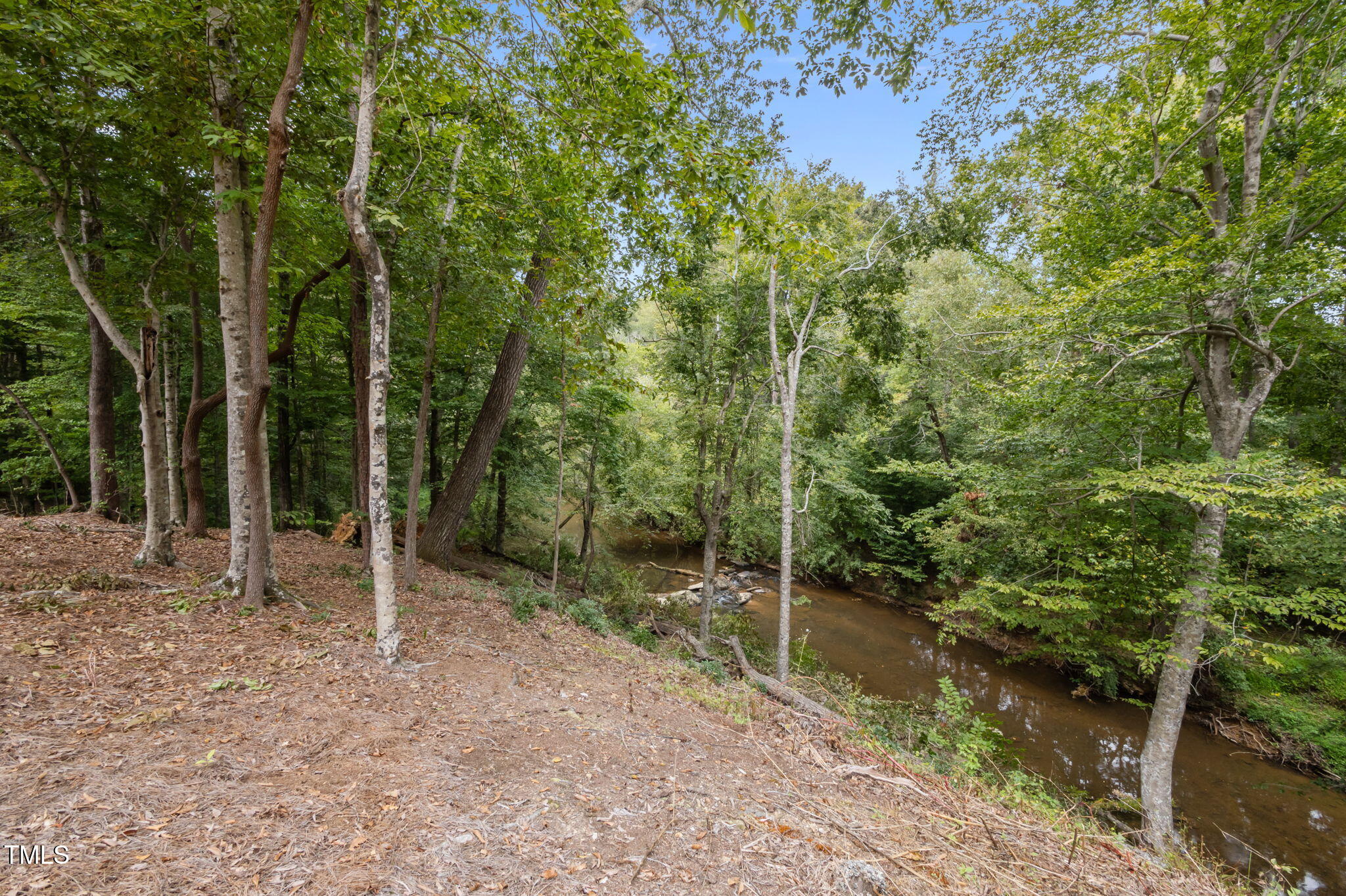 221 Country Lane Timberlake, NC 27583 - Photo 32 of 39 a backyard of a house with lots of green space