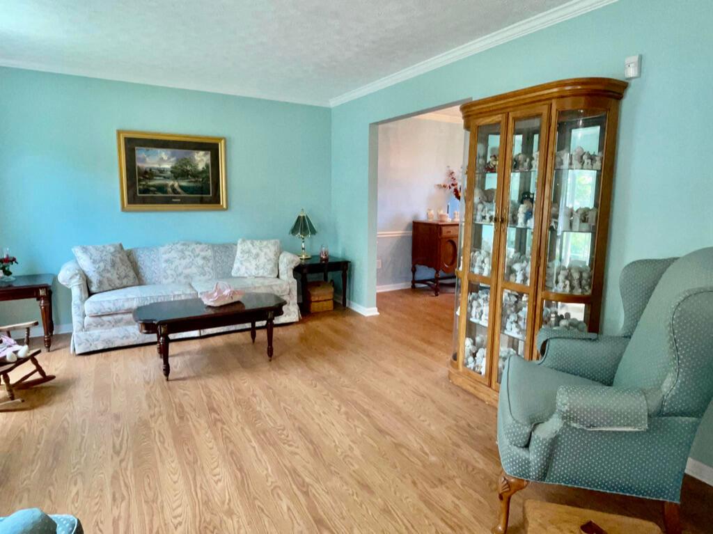 5294 Bressler Drive Hilliard, OH 43026 - Photo 4 of 45 This large living space is perfect for welcoming family and guests!