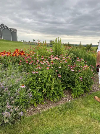 $650,000 | 17176 Hilltop Lane, Chatfield, MN 55923