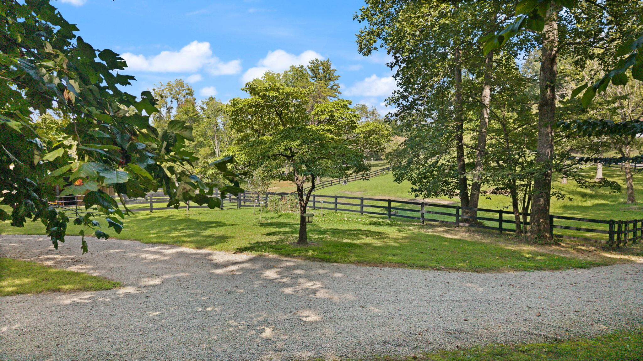 267 Cape Road Jamestown, KY 42629 - Photo 24 of 55 24-web-or-mls-DJI_20260831153433_0142_D