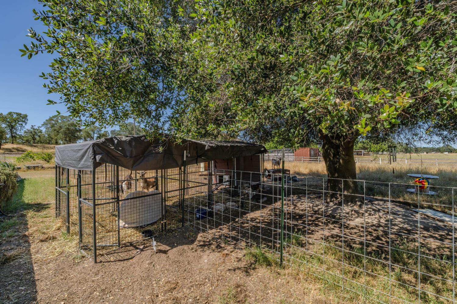 5726 Pettinger Road Valley Springs, CA 95252 - Photo 63 of 77