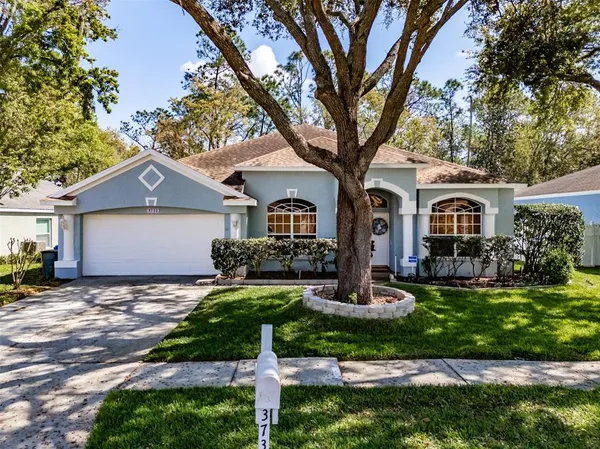$420,000 | 3732 Hollow Wood Drive, Valrico, FL 33596