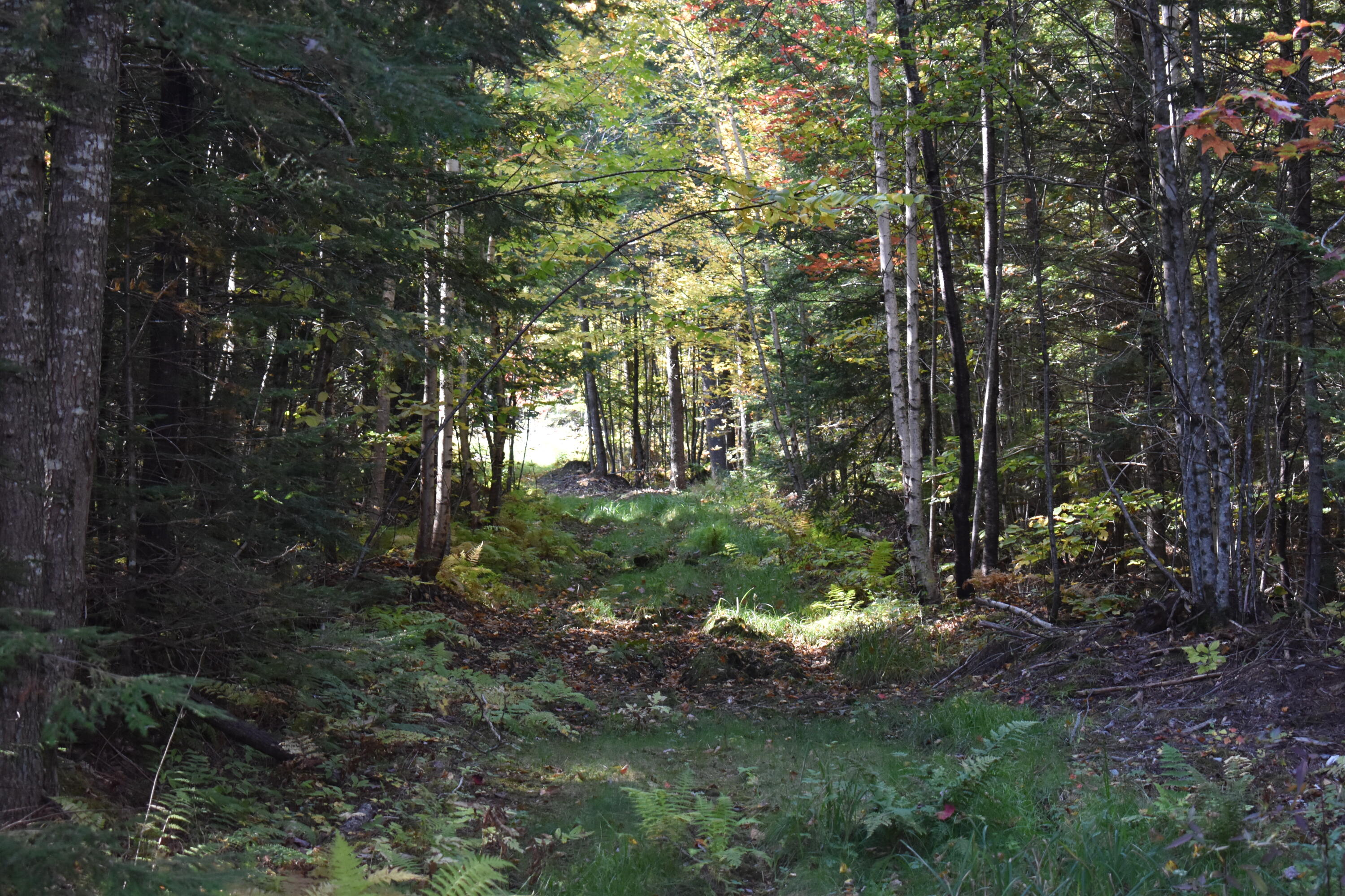 280 White Point Estates Road Lincoln, ME 04457 - Photo 18 of 38 DSC_0468