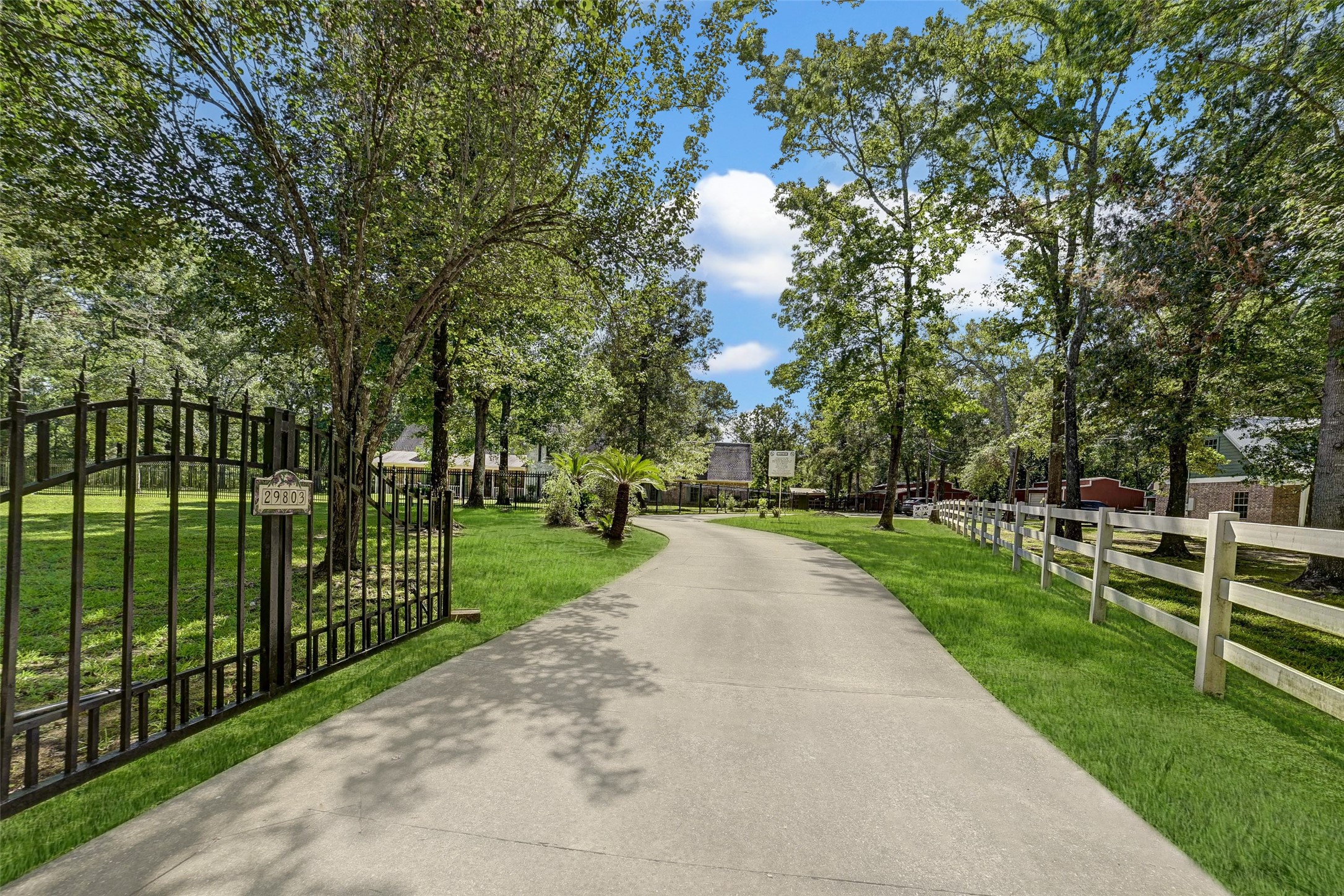 a view of a park and trees