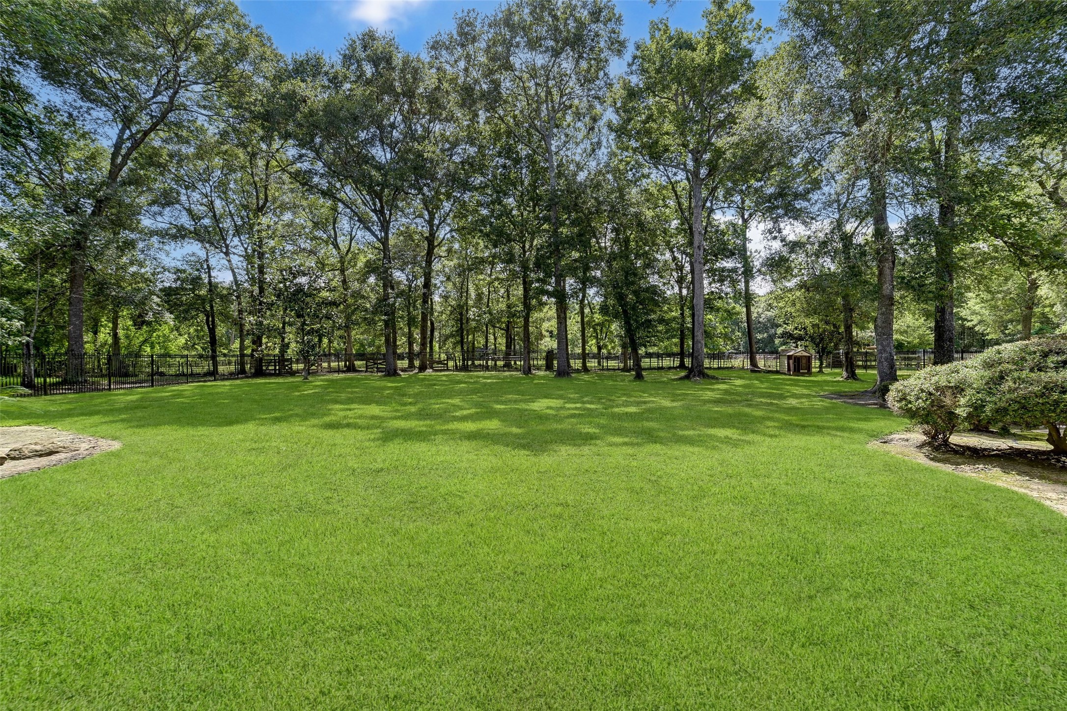 29803 Huffman Cleveland Road Huffman, TX 77336 - Photo 44 of 49 a grassy field with trees in the background