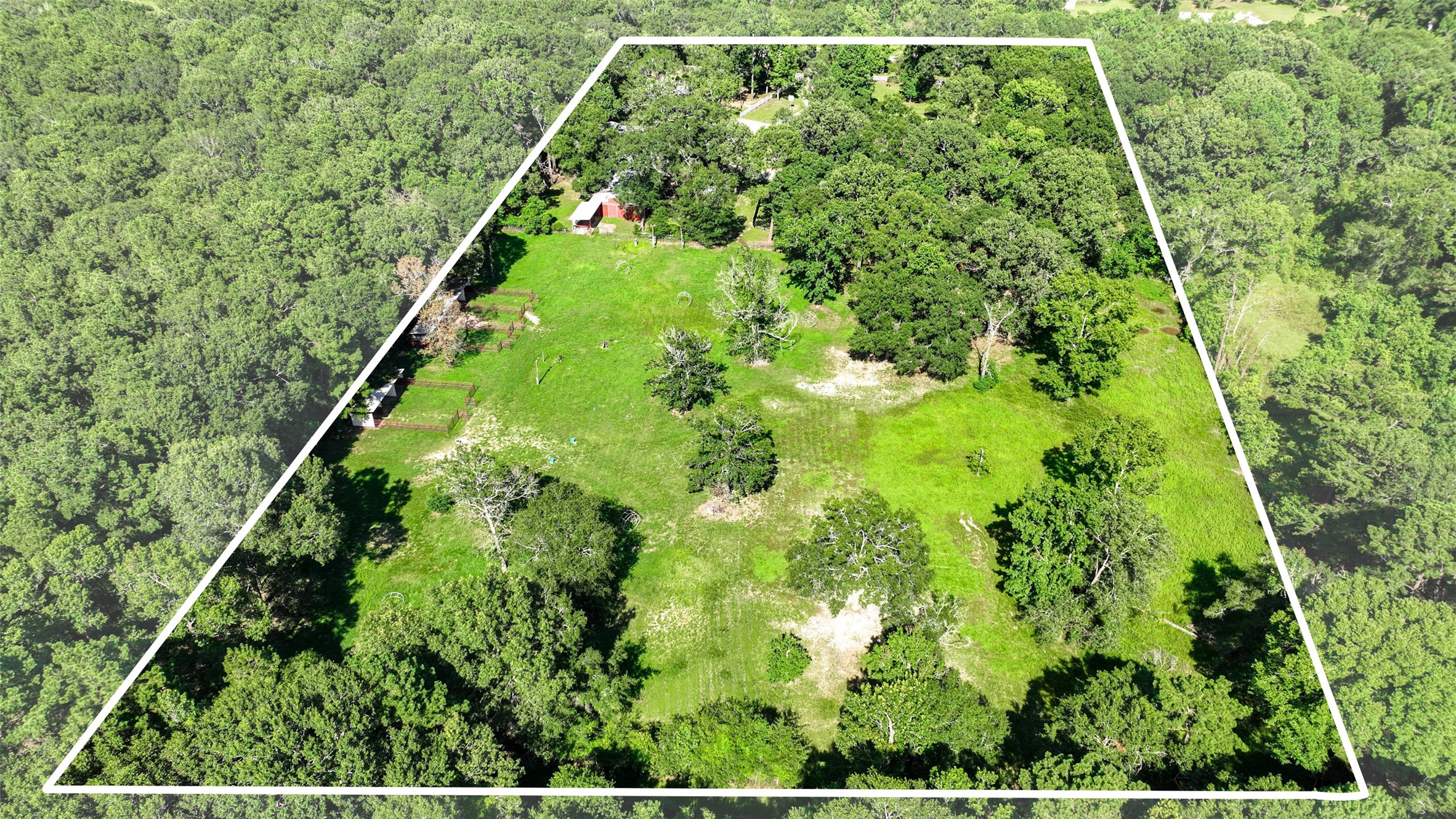 29803 Huffman Cleveland Road Huffman, TX 77336 - Photo 46 of 49 a view of a yard with plants
