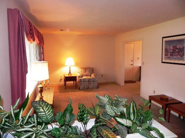 Living Room 3.JPG