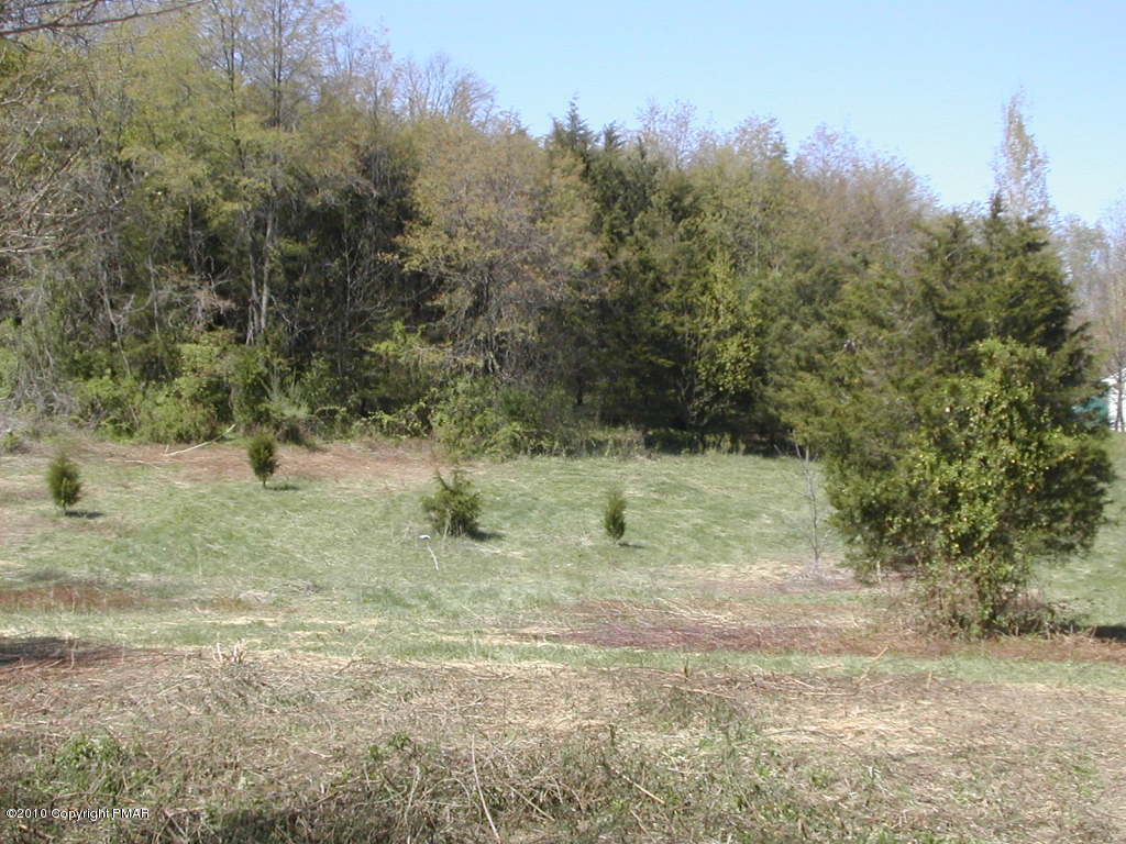 DSCN5473