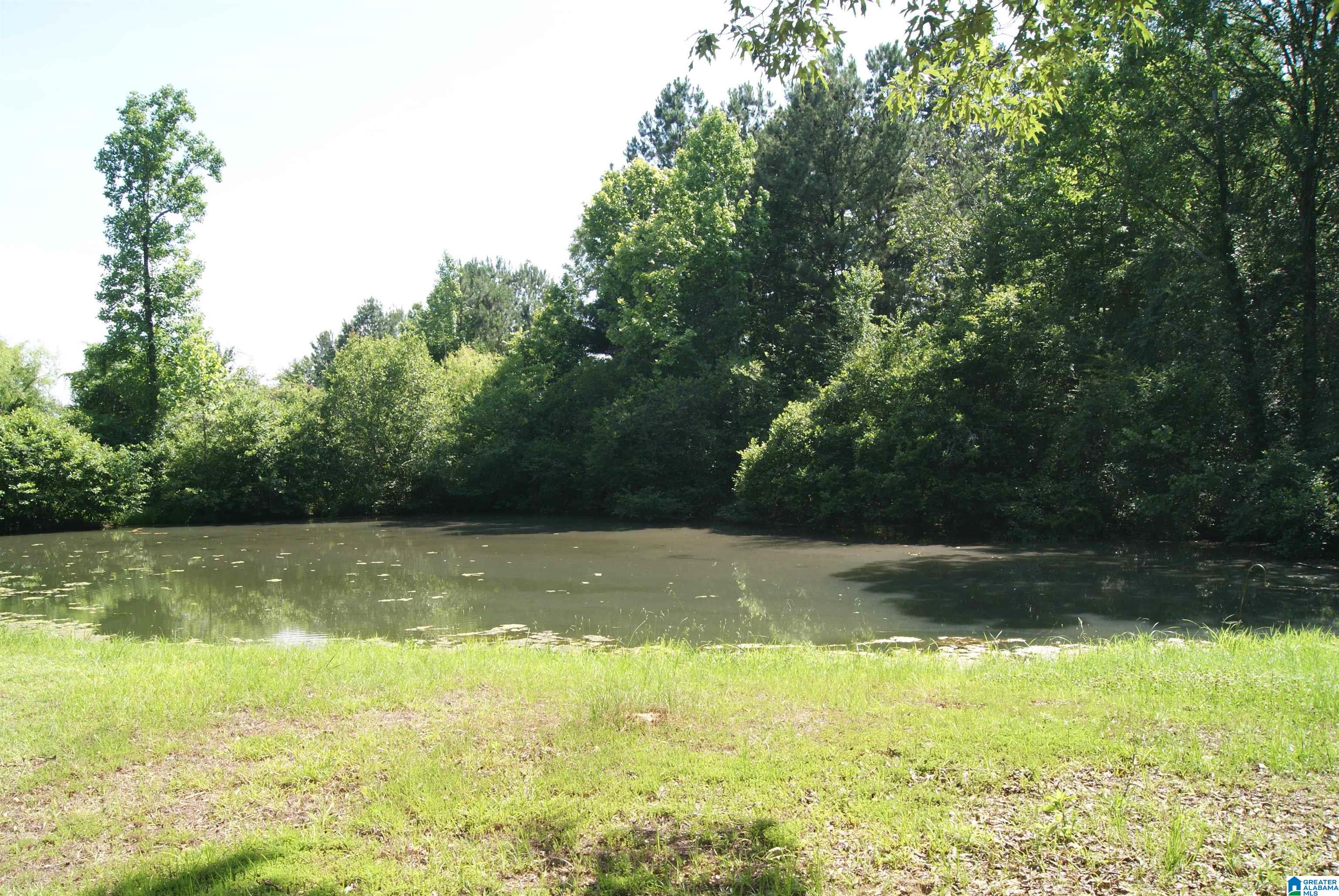 77 Autumn Drive Vincent, AL 35178 - Photo 9 of 16