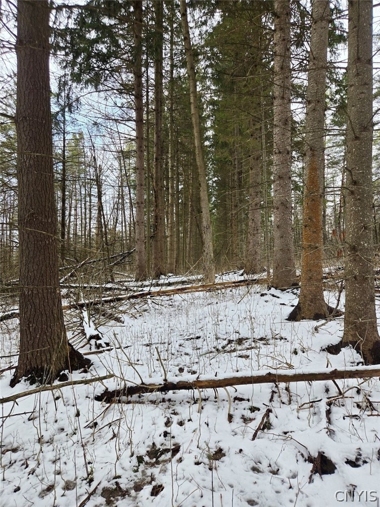 Syler Road Varysburg, NY 14167 - Photo 18 of 20
