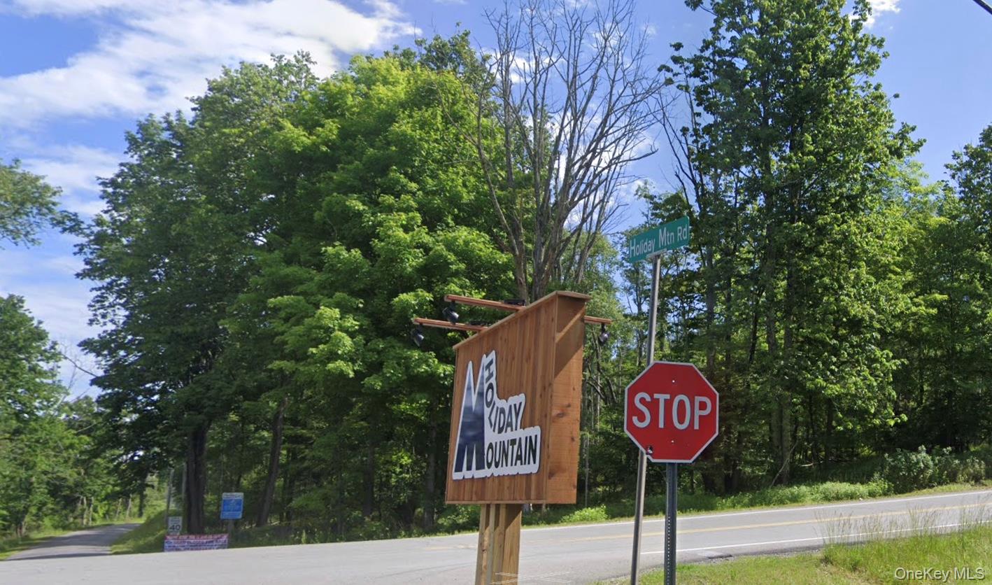 Edwards Road Rock Hill, NY 12775 - Photo 1 of 6