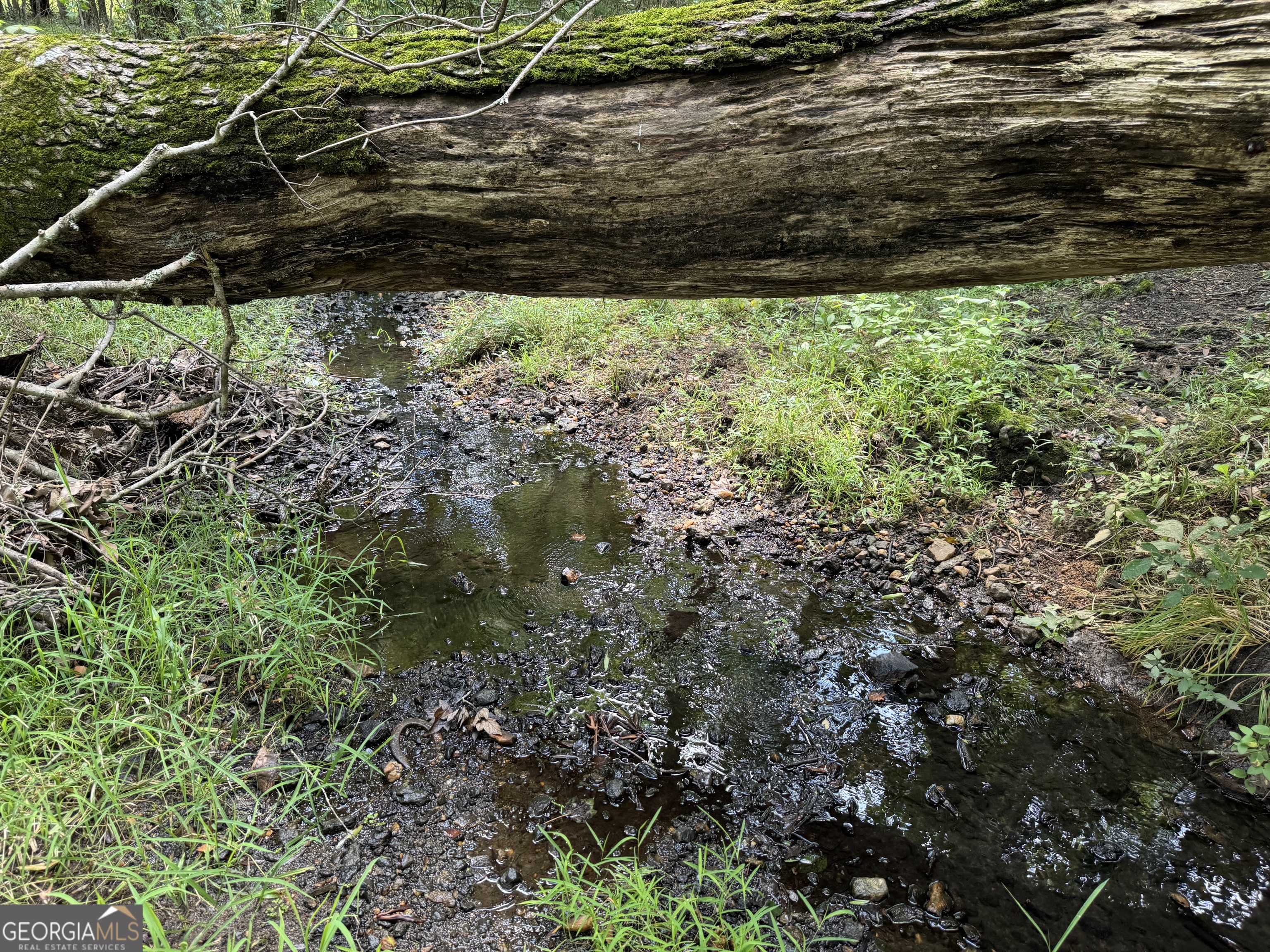 2 Seneca Street Calhoun Falls, SC 29628 - Photo 11 of 29 a backyard of a house